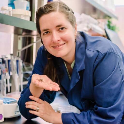 Sarah STELLWAGEN | Ph.D. Biology | University of Maryland, Baltimore ...