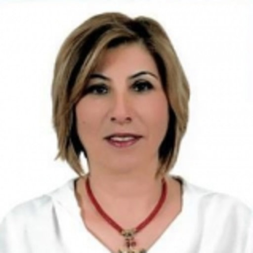 Hülya TOKER | Bozok University, Yozgat | İktisadi ve İdari Bilimler ...