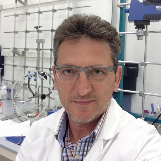 Davide BELLINI | Head of Department | R&D | Research profile