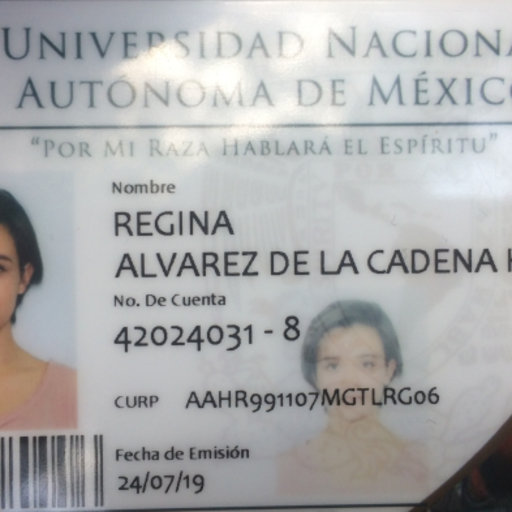 Regina ÁLVAREZ DE LA CADENA | Universidad Nacional Autónoma de México ...