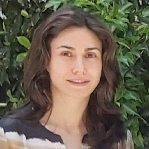 Hasti Iranmanesh Research Associate Phd Unsw Sydney Kensington