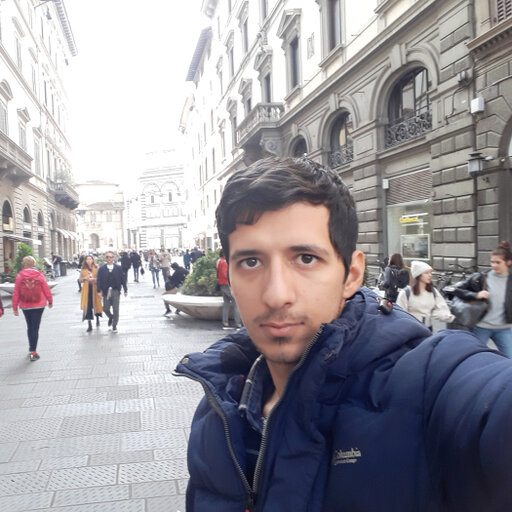 Majid MANSOURI | University of Florence, Florence | UNIFI | Research ...