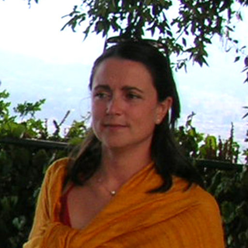 Chiara VENTISETTE, Researcher, PhD, University of Florence, Florence, UNIFI, Dipartimento di Scienze della Terra