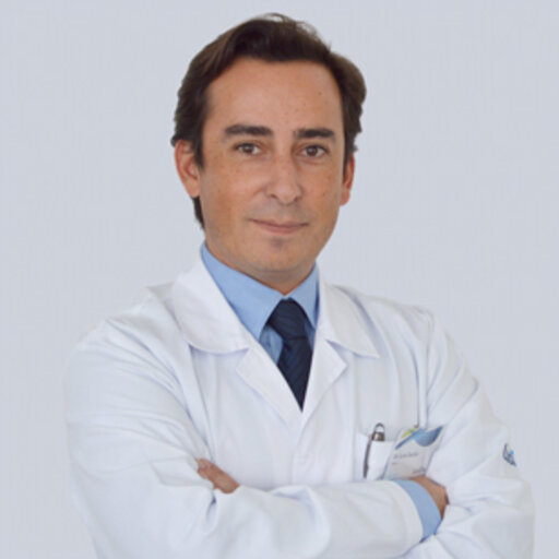 Lu s OS RIO Head of Department Urology Research profile