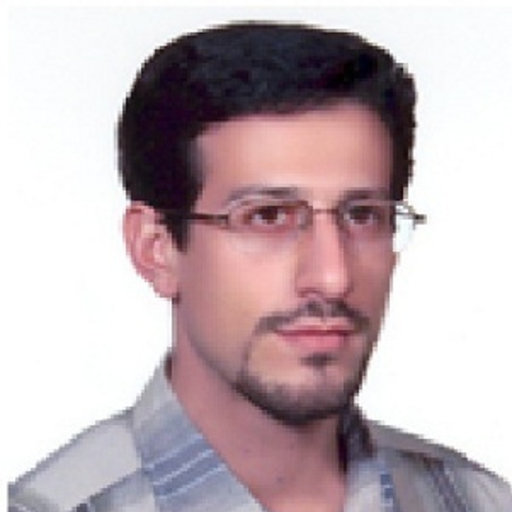 Mohammadreza Dodangeh - Iran, Professional Profile