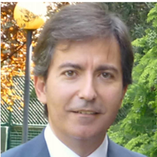 Félix TOMÉ-BERMEJO | Orthopaedic, Trauma and Spine Surgeon. MD, PhD ...