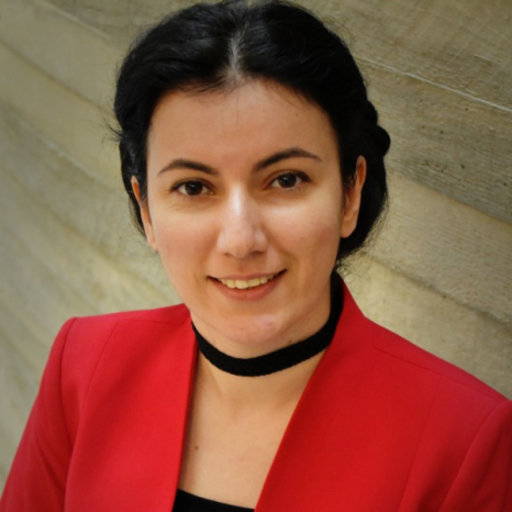 Leili HAYATI | PhD candidate | PhD | Northeastern University, MA | NEU ...