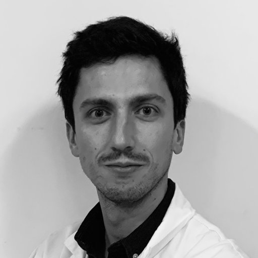 Antoine MORVAN | Medical Doctor | Research profile
