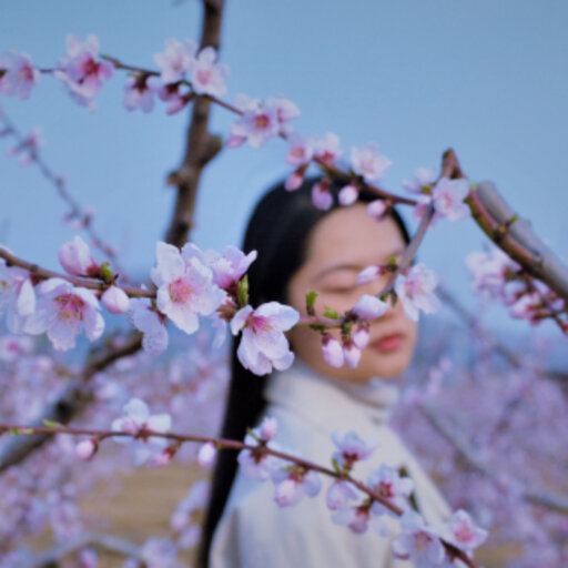 Yu-Jiao XIU | Beijing Forestry University | School of Ecology and ...