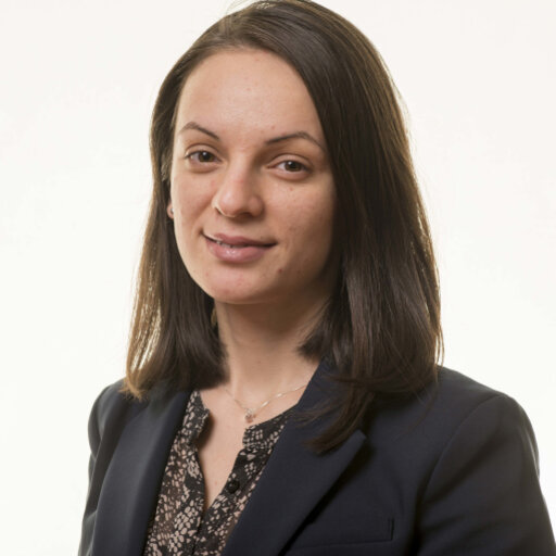 Alina GRECU | PhD Student | Ph.D. Candidate | Copenhagen Business ...