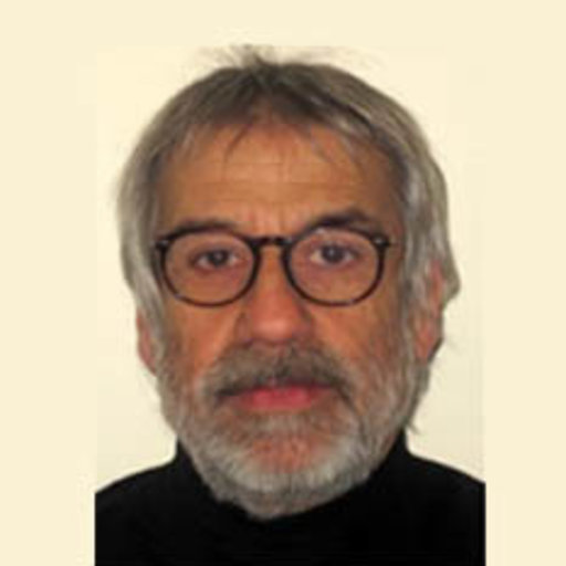 Carlo RICCARDI | Director | MD, PhD | Università degli Studi di Perugia ...