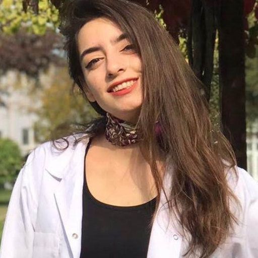 Beyza ERDOĞAN | Karabuk University, Karabük | enerji sistemleri ...