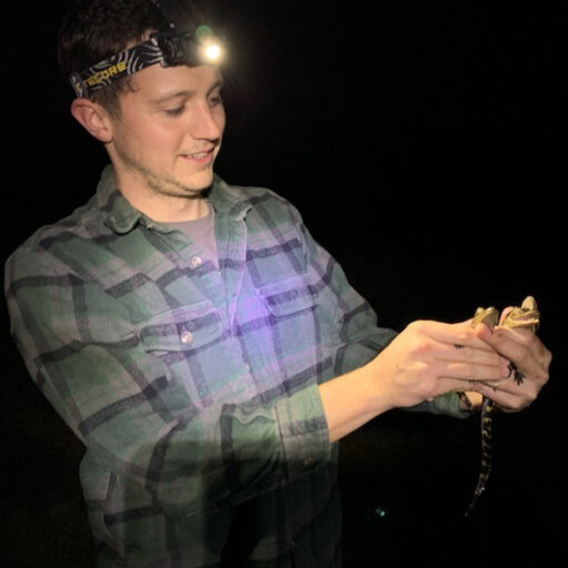 Pet Owners Find Temperature Gun Helps Maintain a Healthy Reptile Enclosure  - ennoLogic