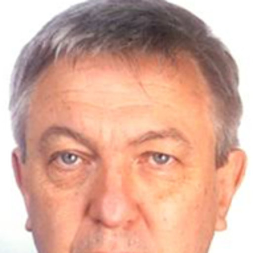 Michel COLIN Generl manager Research profile