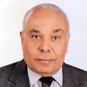 Mohamed A. Elwakil