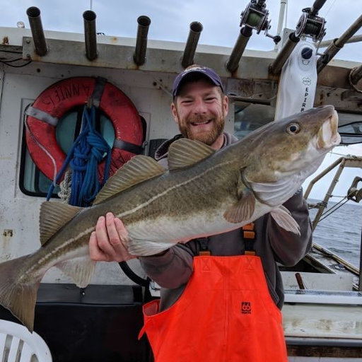 Profiling the Atlantic Cod - The Fisherman