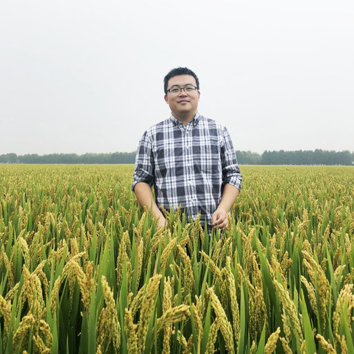 Chun Qing ZHAO | Professor (Full) | PhD | Nanjing Agricultural ...