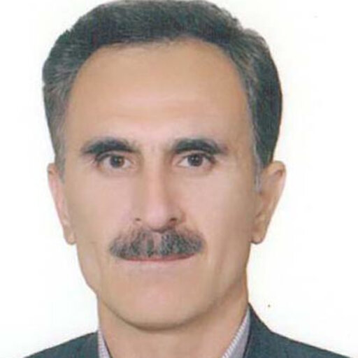 Ebrahim Hosseini Professor Assistant Assistant Professor Islamic Azad University Tehran