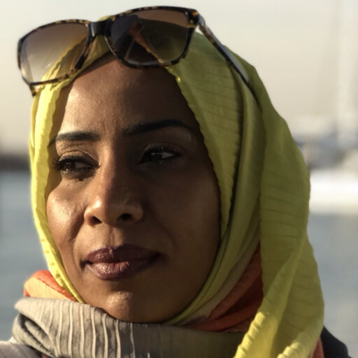 Esraa ABDALA | Doctor of Engineering | University of Khartoum, Khartoum ...