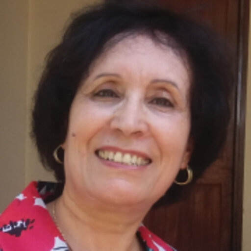 Sidi Mohamed