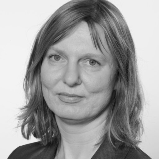 Cornelia NIESSEN | Chair for Work and Organizational Psychology | Prof ...