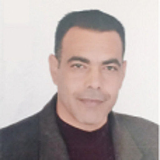 Bilal AL-HASANAT | Professor (Associate) | Doctor of Philosophy | Al ...