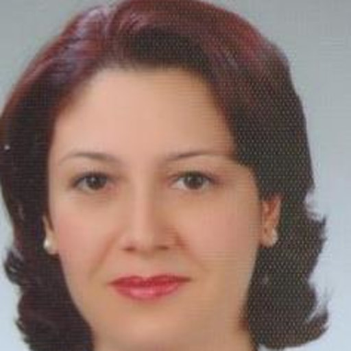 Süreyya Soner - Manager profile