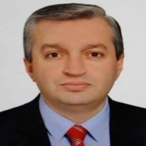 Mehmet ÖZER | Professor (Full) | PhD | Economics and Administrative ...