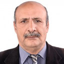Hassan Abdelwahed Shora