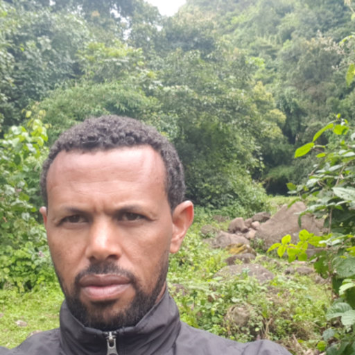 The location of the study area in Hadiya zone, Ethiopia. The shape