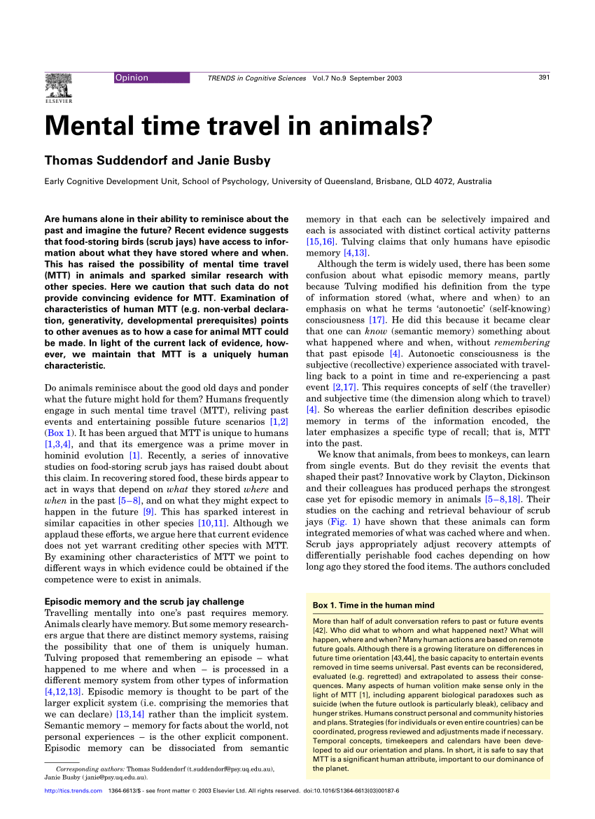 PDF) Evolutionary Economics of Mental Time Travel?