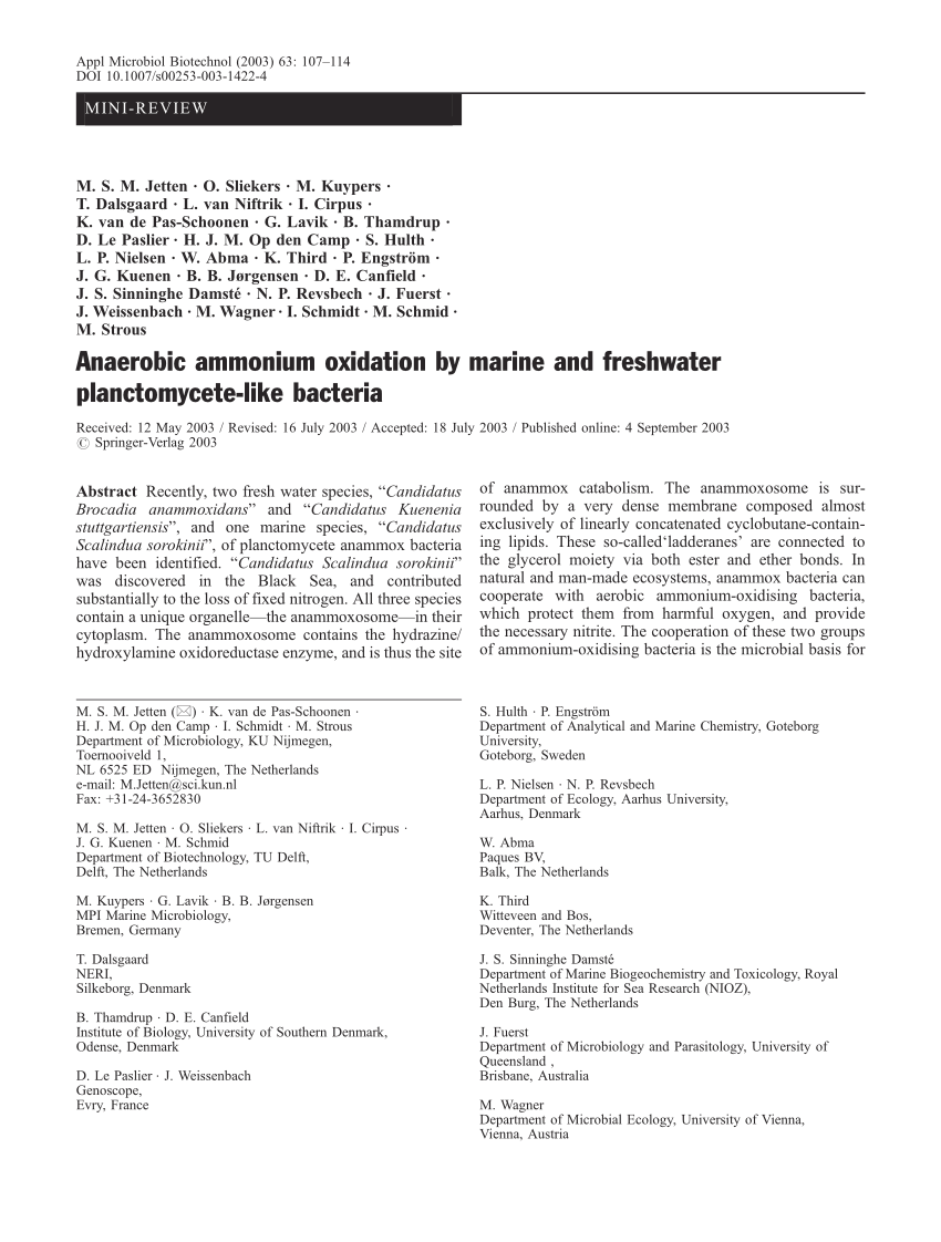 Pdf Anaerobic Ammonium Oxidation By Marine And Freshwater Planctomycete Like Bacteria