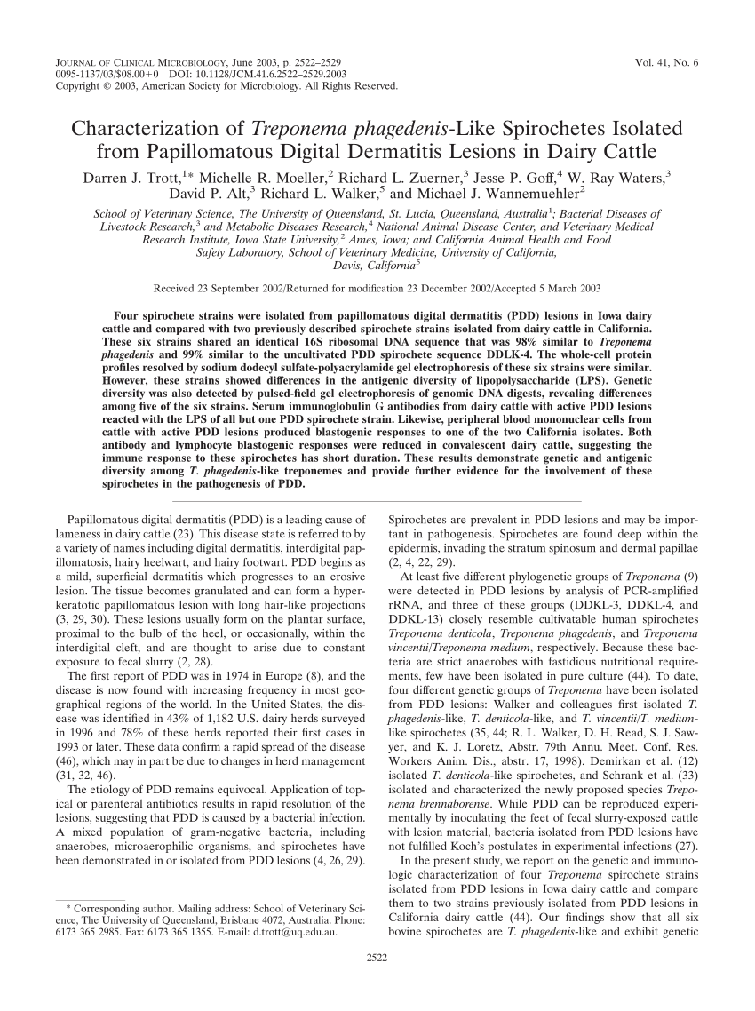 PDF) Characterization of Treponema phagedenis-Like Spirochetes ...