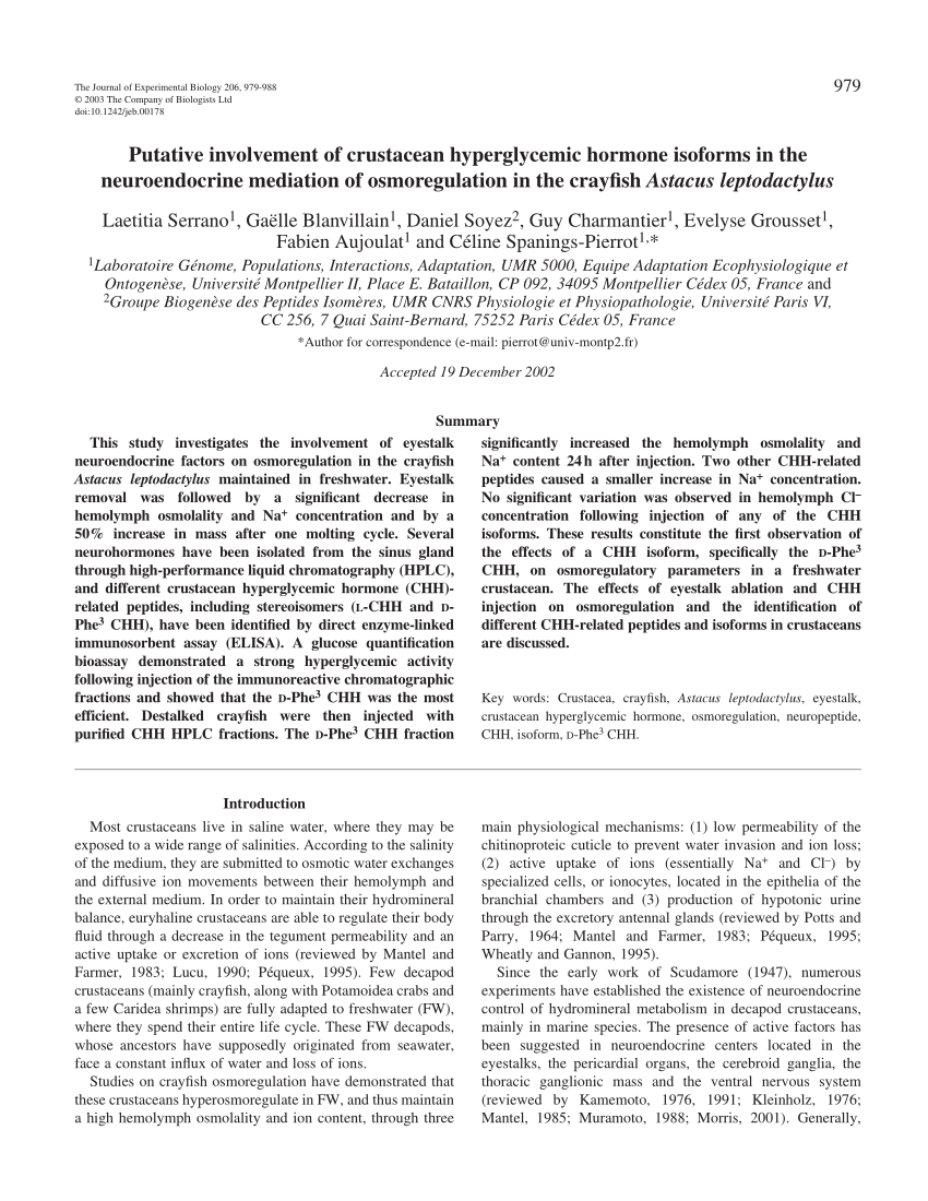 (PDF) Putative involvement of crustacean hyperglycemic hormone isoforms ...