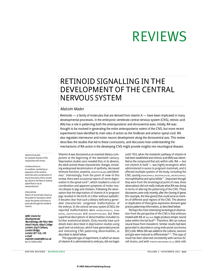 development of the nervous system sanes pdf download