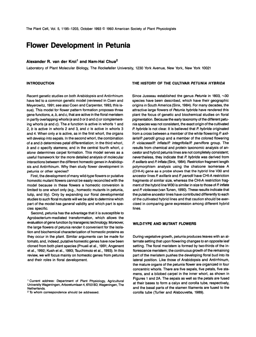 PDF) Flower Development in Petunia