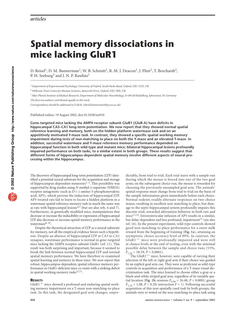 a case study of memory loss in mice answers