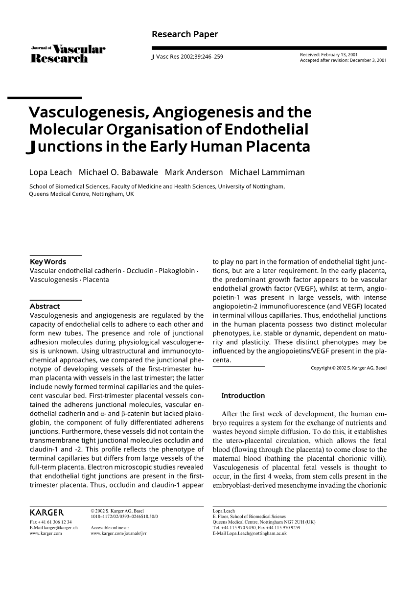 Pdf Vasculogenesis Angiogenesis And The Molecular Organisation Of Endothelial Junctions In The Early Human Placenta