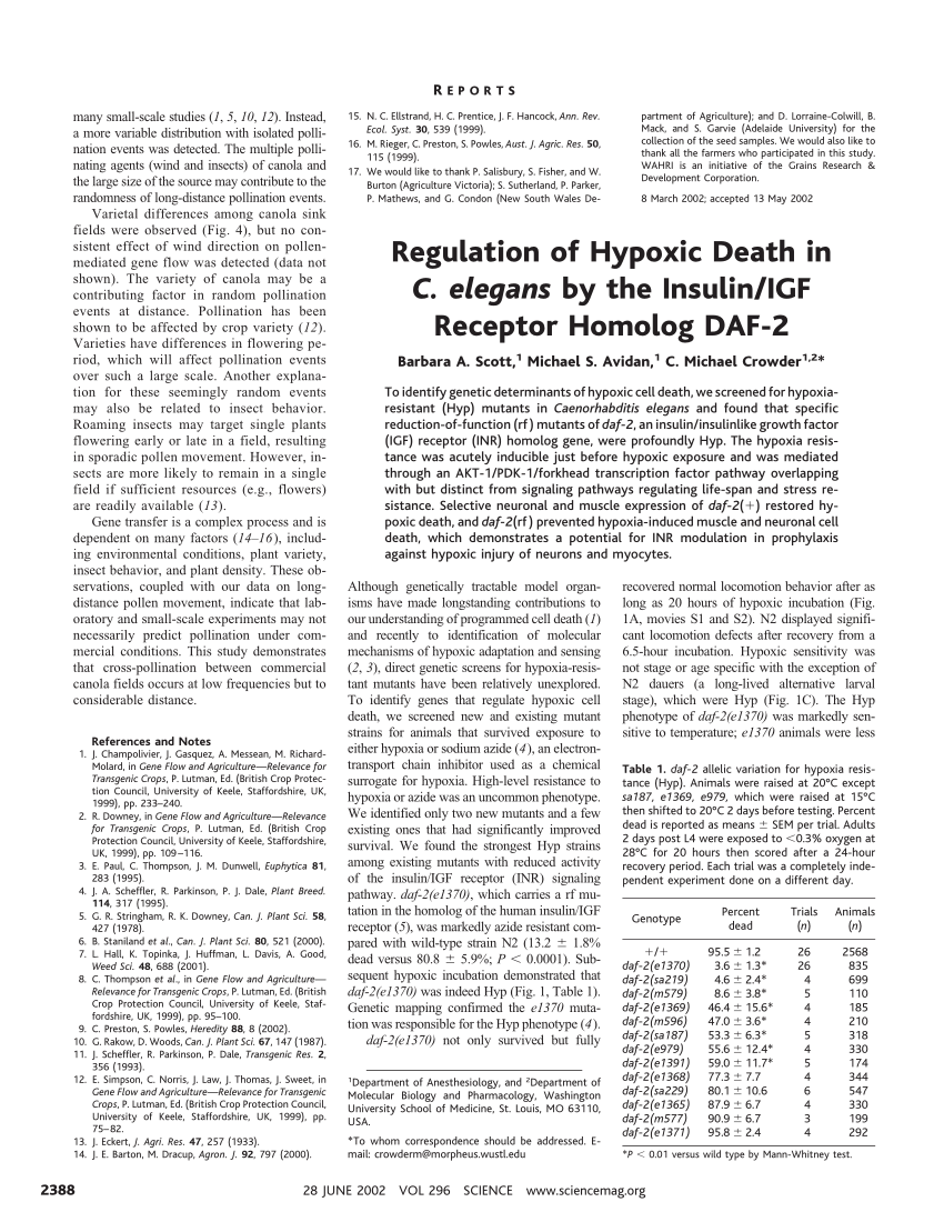 Pdf Regulation Of Hypoxic Death In C Elegans By The Insulin Igf Receptor Homolog Daf 2