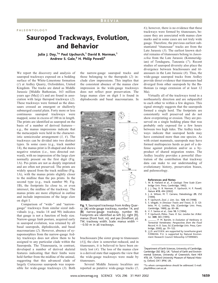 PDF Sauropod Trackways Evolution and Behavior