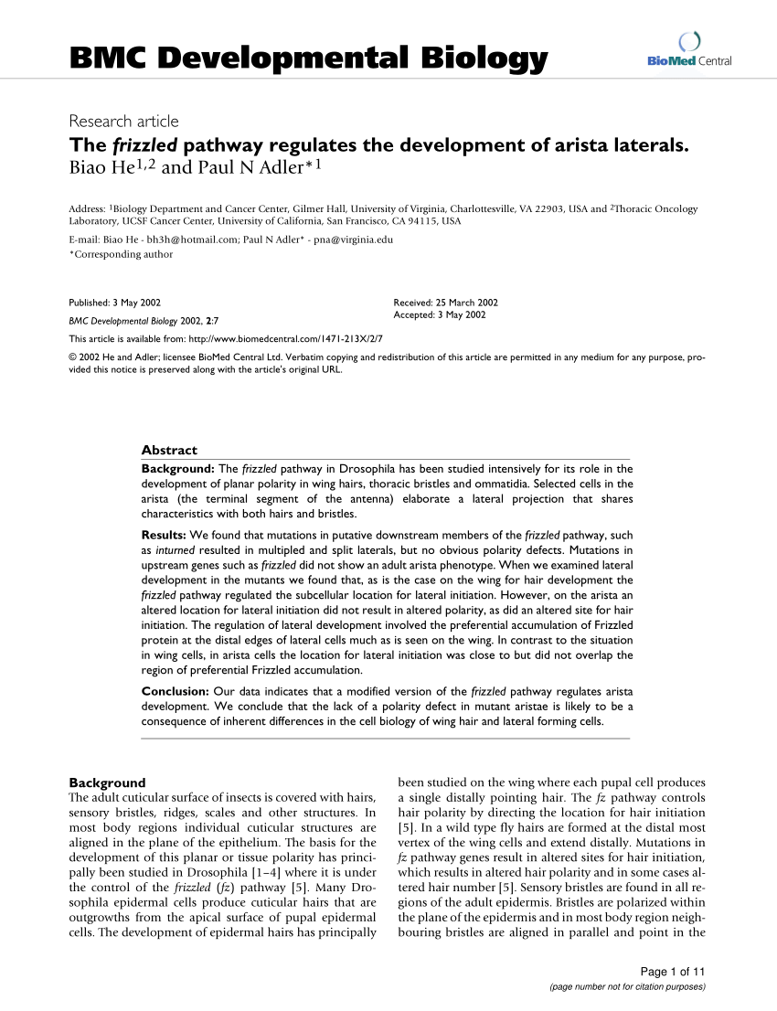 Pdf The Frizzled Pathway Regulates The Development Of Arista Laterals