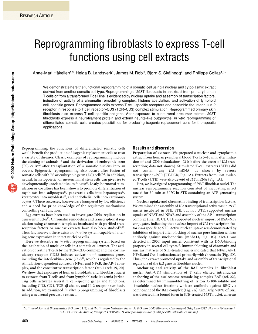 t to cells how extract T functions to fibroblasts Reprogramming express cell