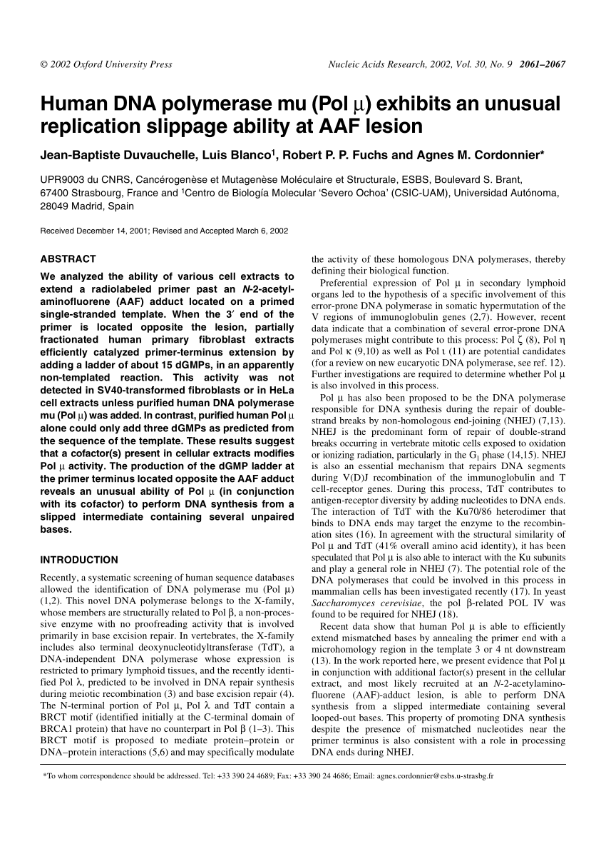 Pdf Human Dna Polymerase Mu Pol M Exhibits An Unusual Replication Slippage Ability At f Lesion