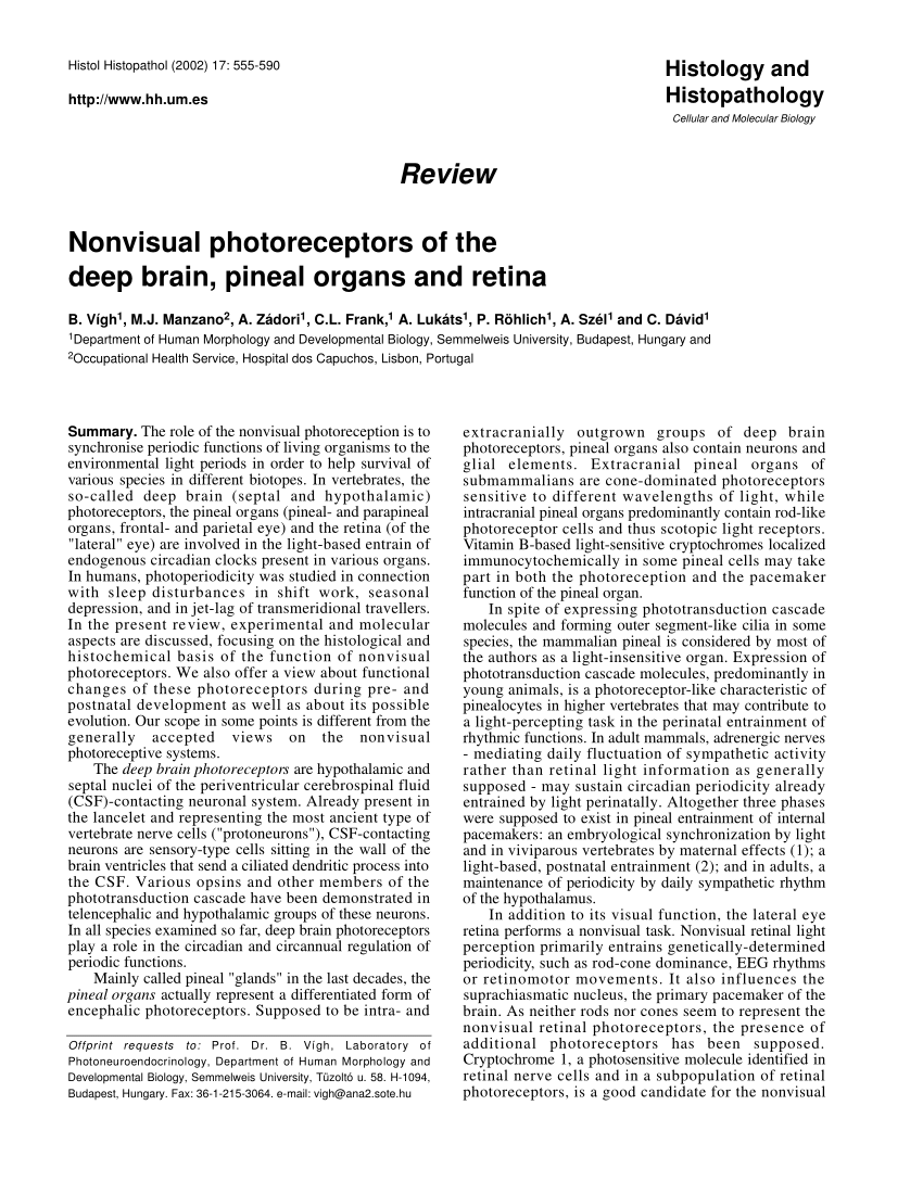 Pdf Nonvisual Photoreceptors Of The Deep Brain Pineal Organs And Retina
