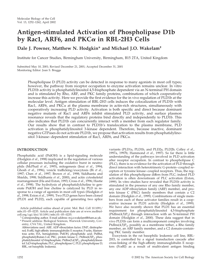Pdf Antigen Stimulated Activation Of Phospholipase D1b By Rac1