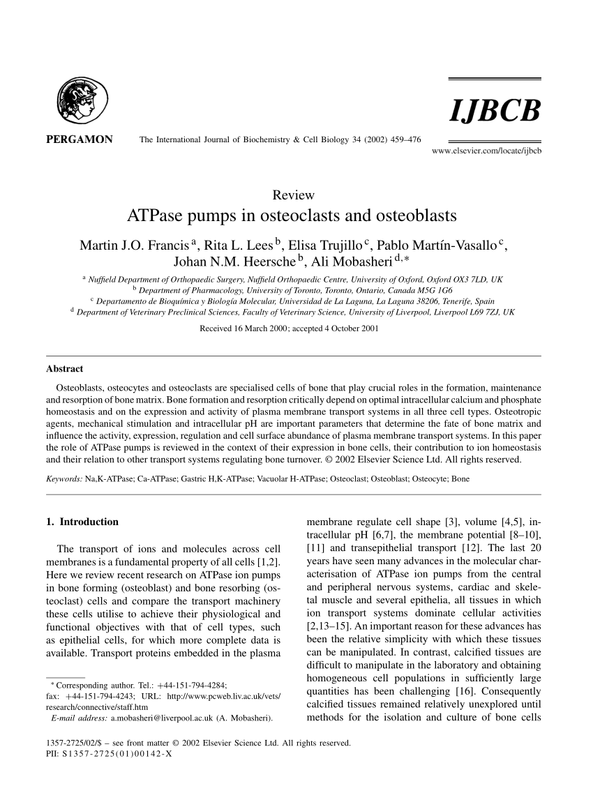 Pdf Atpase Pumps In Osteoclasts And Osteoblasts