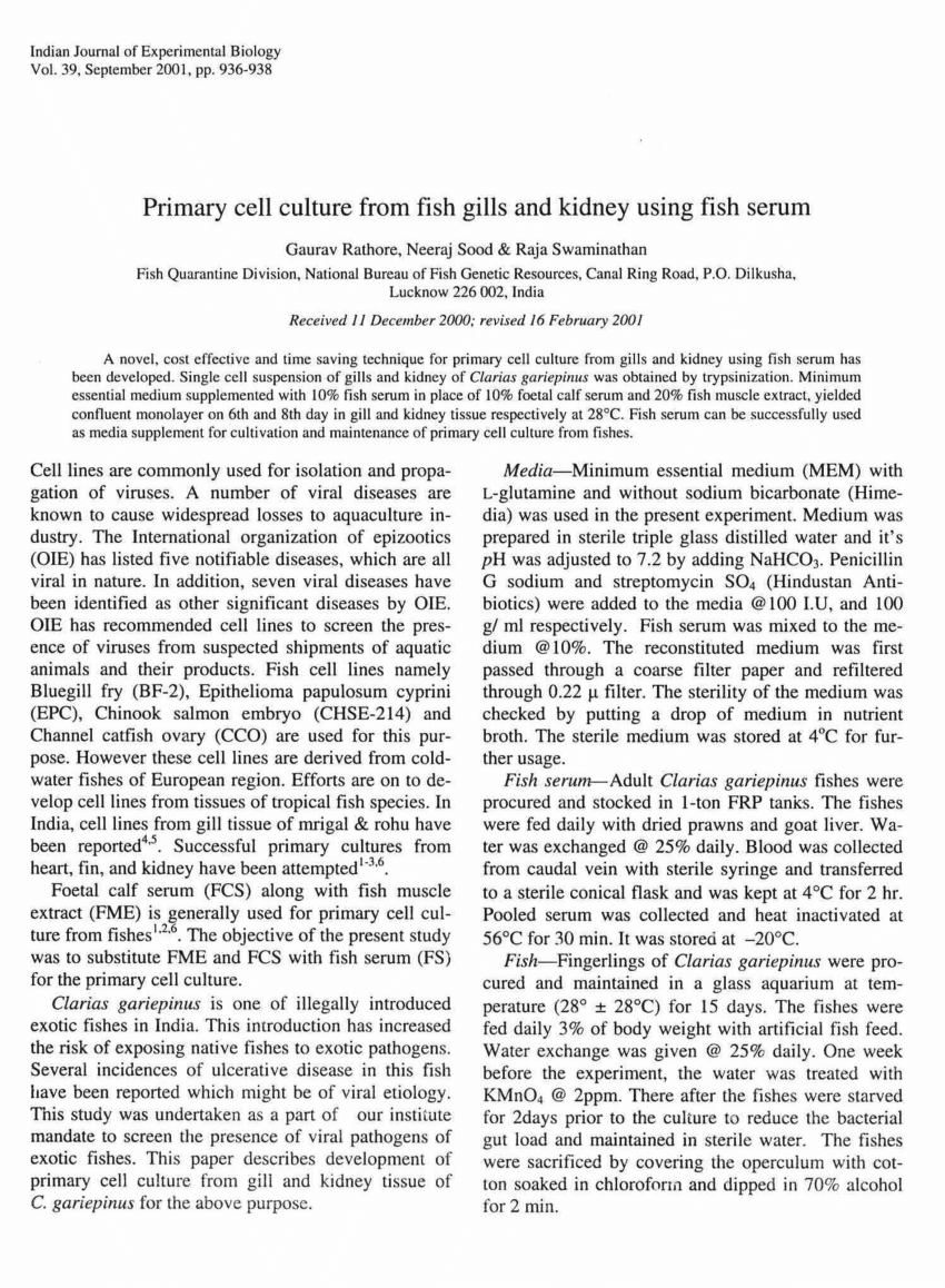 (PDF) Primary cell culture from fish gills and kidney ...