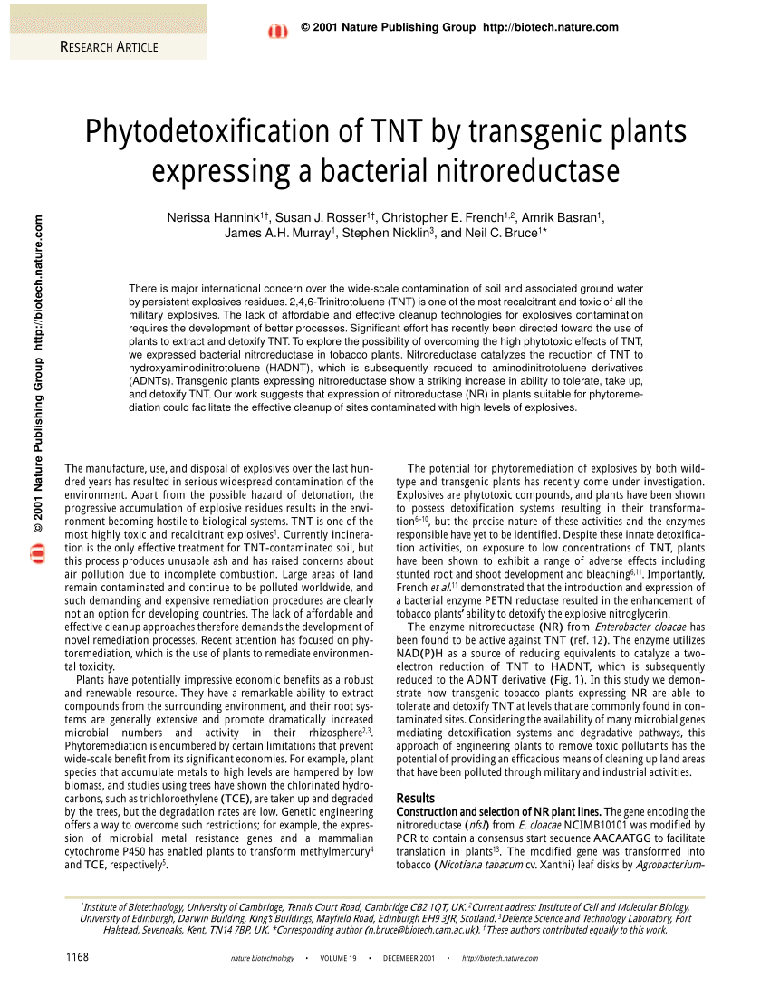 Pdf Phytodetoxification Of Tnt By Transgenic Plants Expressing A Bacterial Nitroreductase