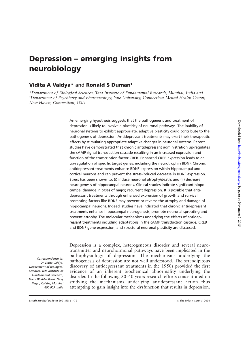 research on depression suggests that