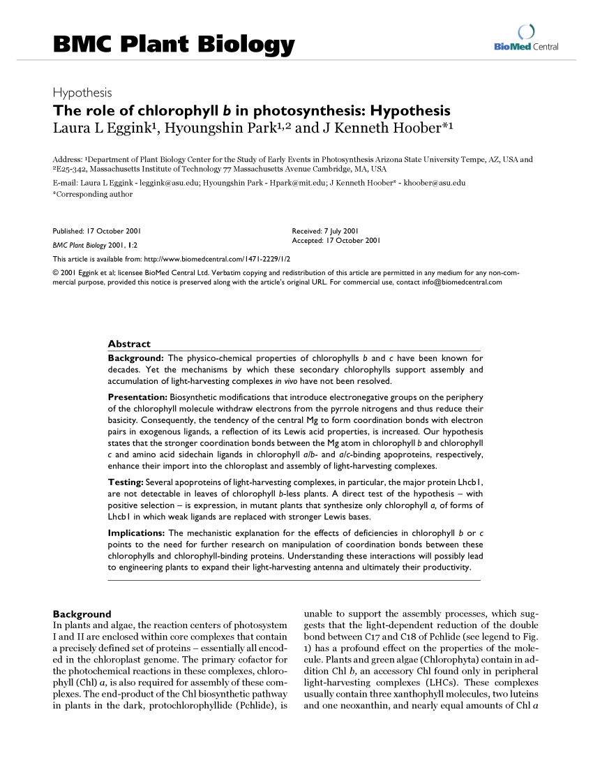 Pdf The Role Of Chlorophyll B In Photosynthesis Hypothesis